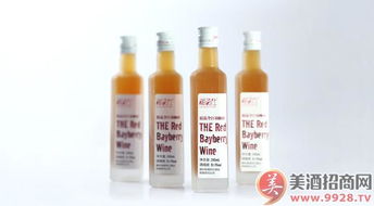 湘西風味，梅香醉人——靖州湘百仕楊梅酒產品展示